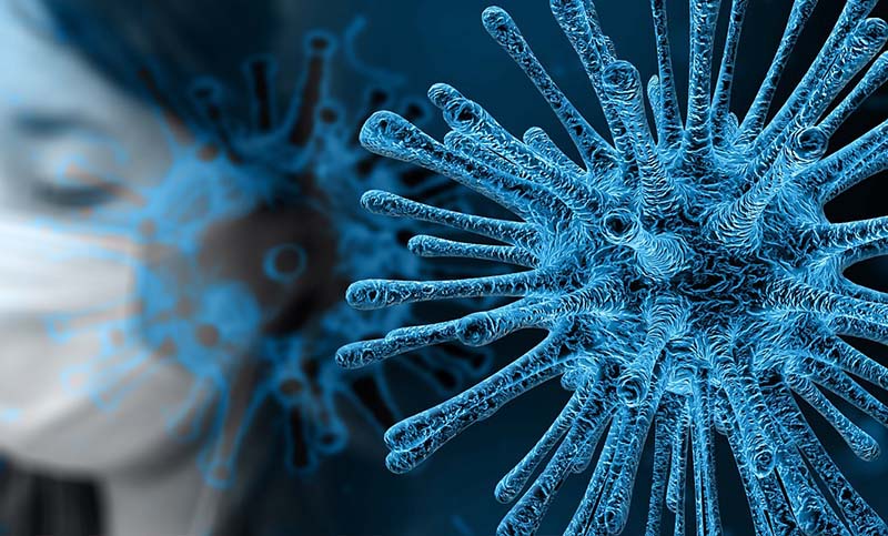 Una investigación encontró nuevo objetivo para atacar variantes de Covid