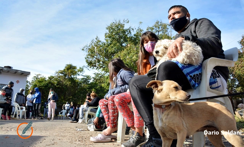 Protectoras realizan campaña de esterilización de mascotas en zona sur