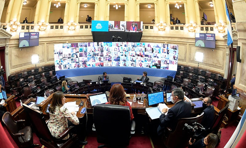 El Senado vota el proyecto que busca fijar criterios epidemiológicos básicos