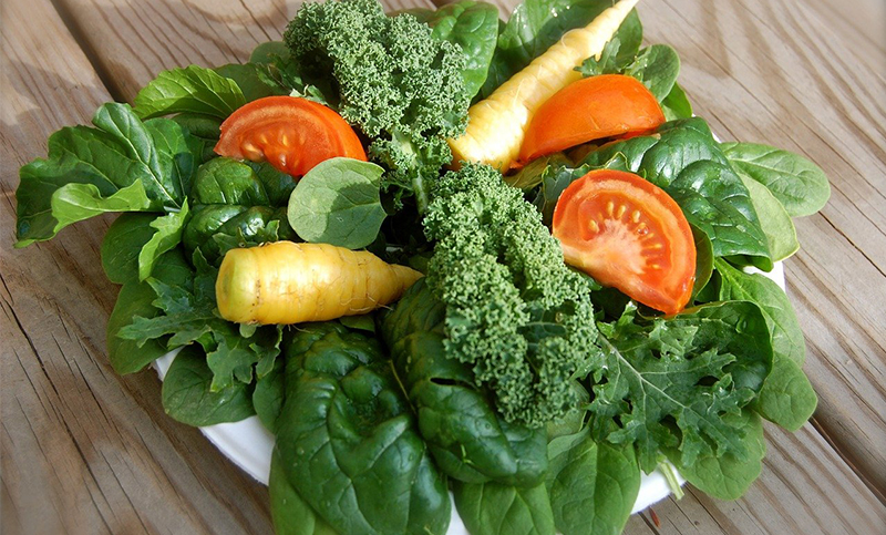 Estudio revela que vegetarianos tienen colesterol bajo pero lípidos en sangre altos