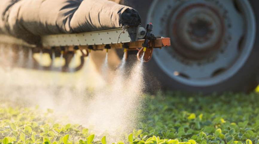 No hay vacuna que frene la pandemia de fumigación con «agrotóxicos»