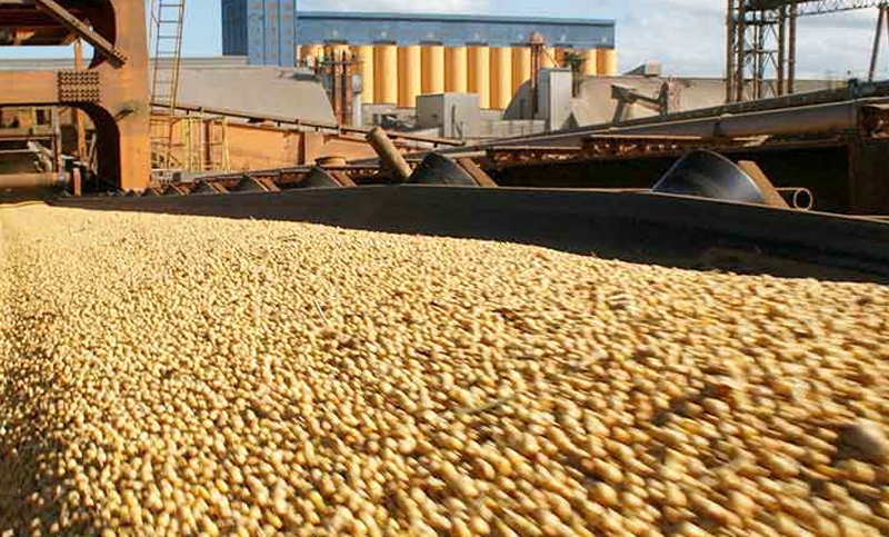 Exportaciones agroindustriales empujan el repunte económico en la Argentina