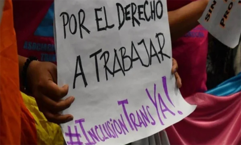 El Senado debate en comisión la ley de inclusión laboral de la población trans