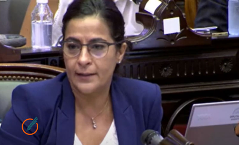 Diputados del Frente de Todos proponen declarar al litio como recurso natural estratégico