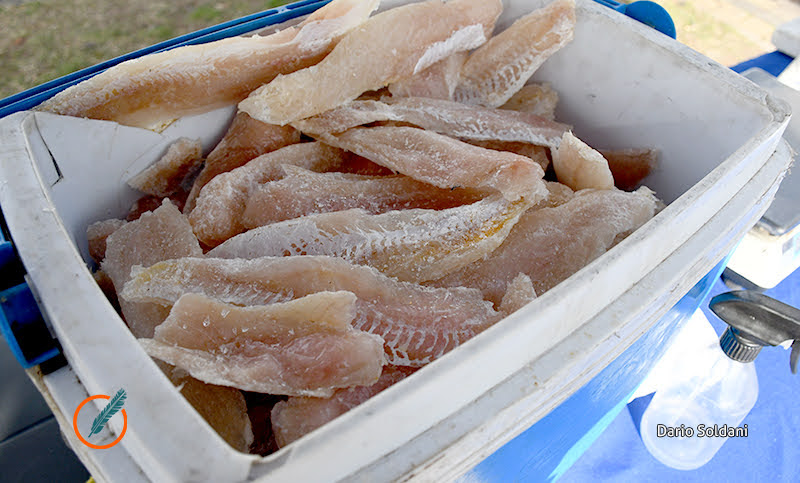 Vuelve a Rosario la Pescadería Móvil con precios populares