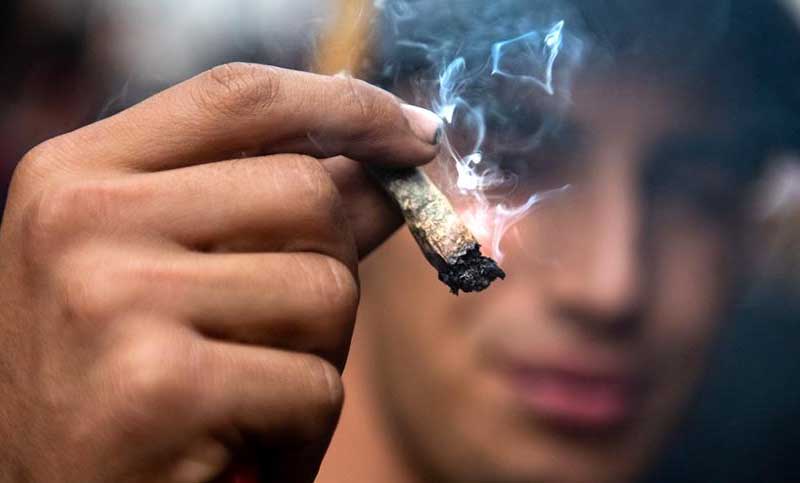 Amazon apoya el uso recreativo de marihuana