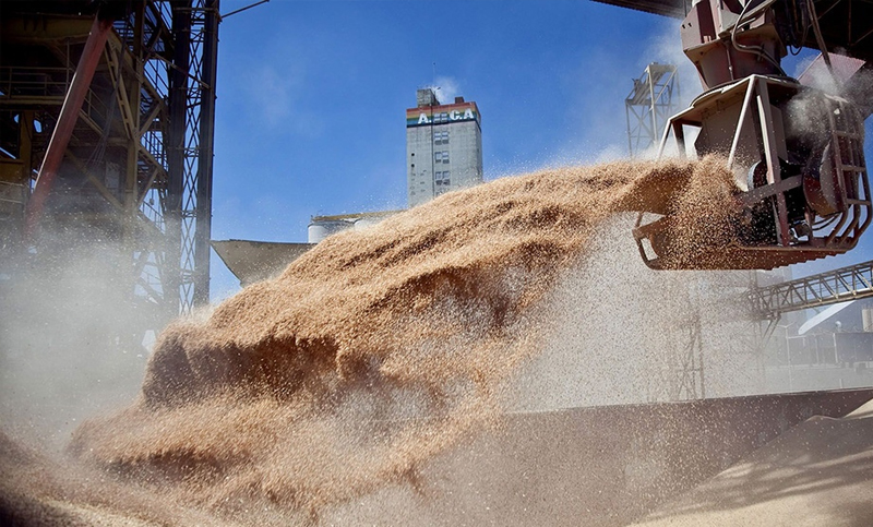 Registro histórico: sector agroexportador liquidó más de 3.500 millones de dólares en mayo