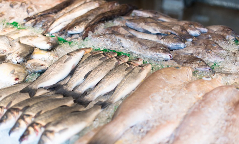 Llega la Pescadería Móvil con precios populares a ferias y mercados