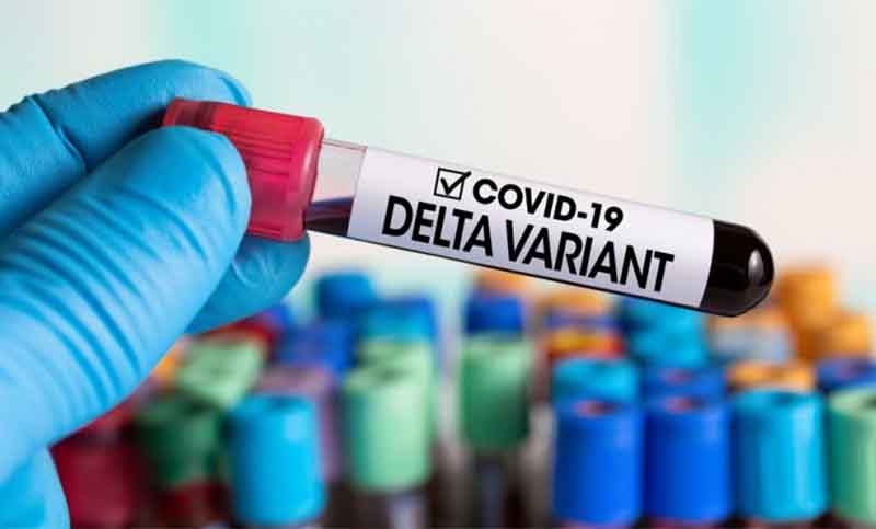 Detectaron dos casos de la cepa Delta en argentinos llegados del exterior
