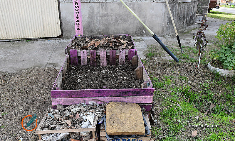Compost: cómo transformar residuos orgánicos en alimento útil para la tierra