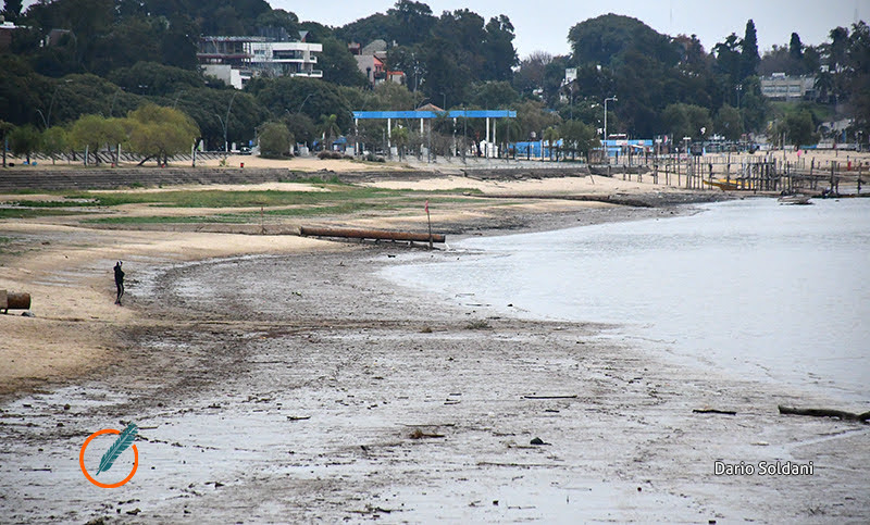 Preocupación en Chaco y Corrientes por la desaparición de surubíes y dorados