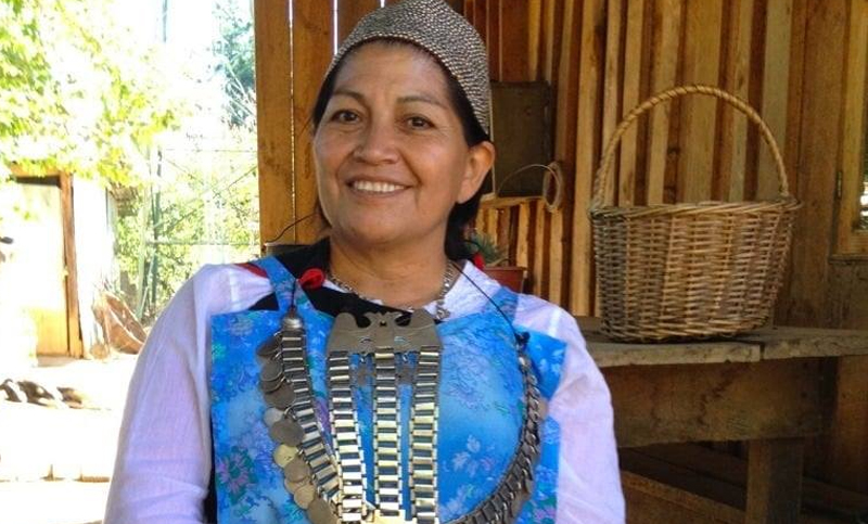 Se instaló la Convención Constituyente en Chile, presidida por una mujer mapuche