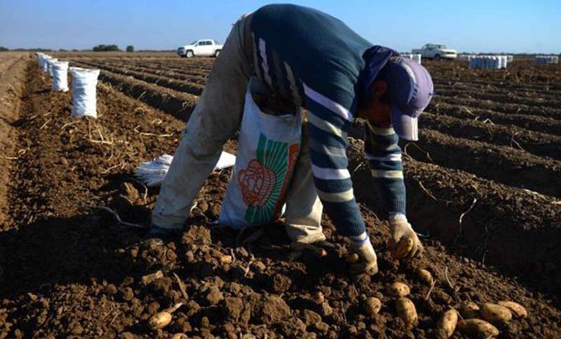 Trabajadores rurales podrán estar registrados y ser beneficiarios de planes sociales