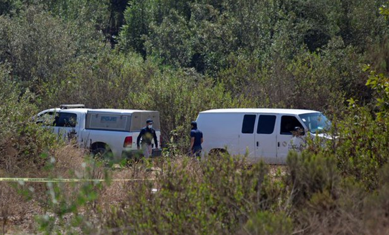 Un seguidor de QAnon en Estados Unidos mató a sus hijos creyendo que tenían «ADN de serpiente»