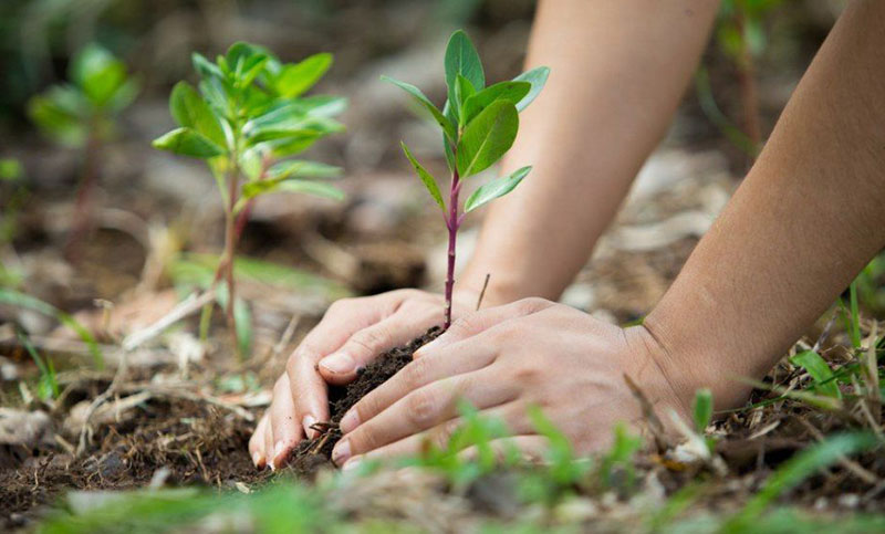 Ambiente ofrecerá un curso virtual sobre la biodiversidad para aplicar a proyectos y decisiones