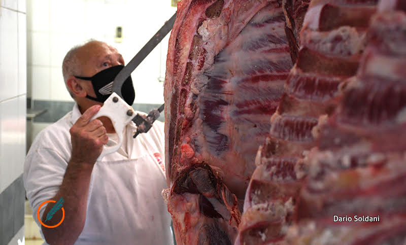 Prorrogan hasta fin de octubre las restricciones para exportar carne