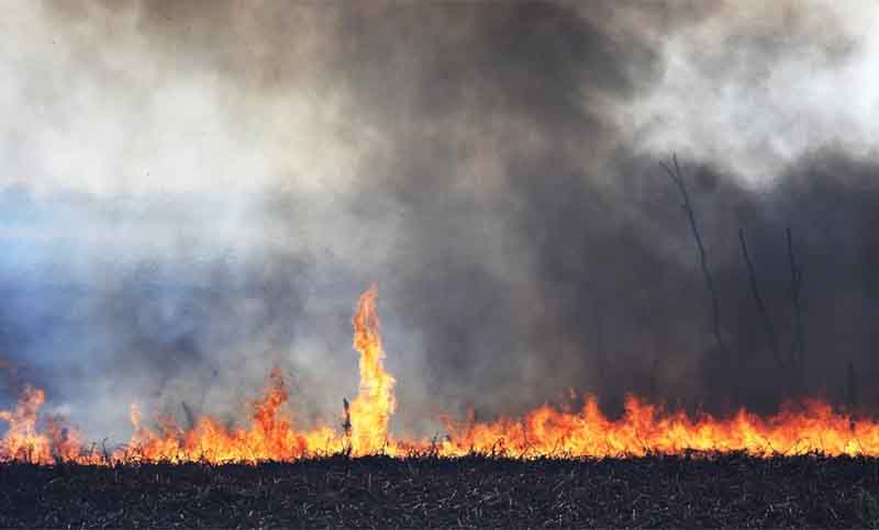 Trabajan intensamente para combatir los incendios en la zona