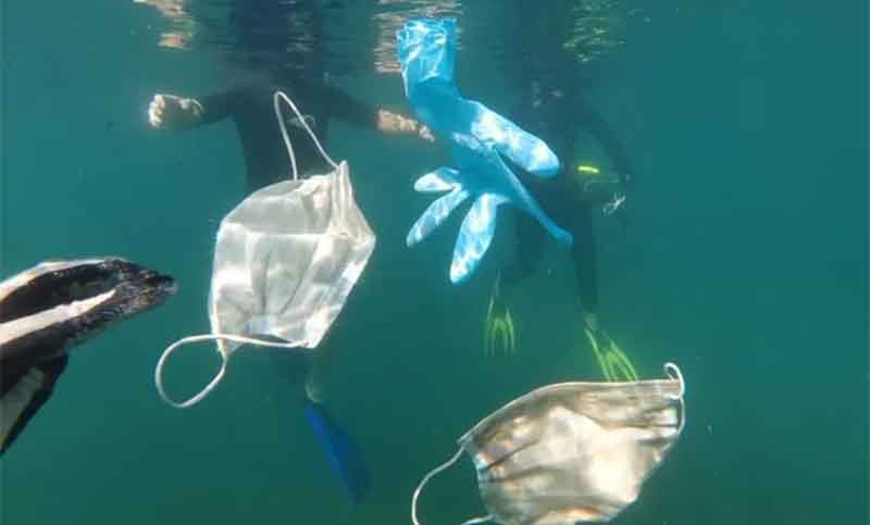 Lanzan campaña para cortar los elásticos de los cubrebocas antes de desecharlos