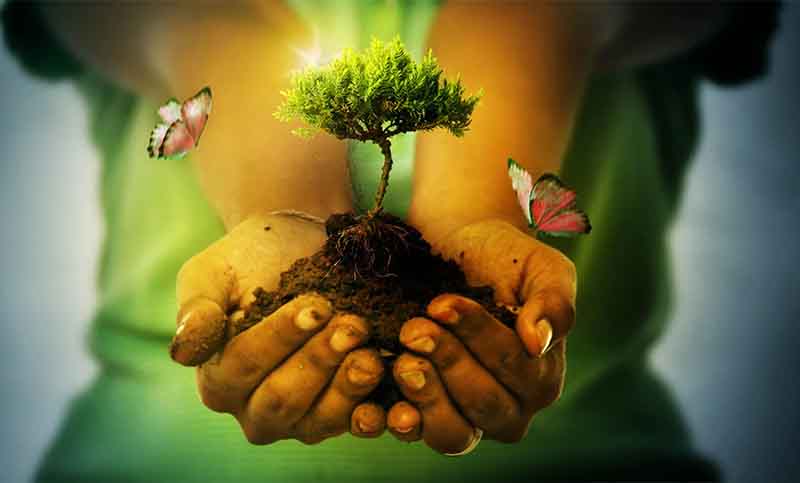“Un pacto por la vida»