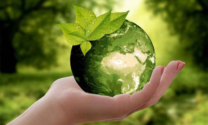 Cuidado del medio ambiente: cómo evitar la generación de residuos