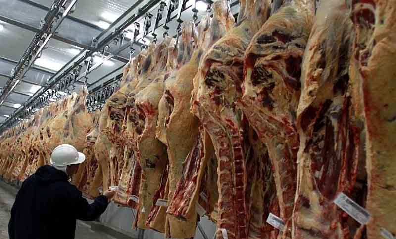 Peligran 10 mil puestos de trabajo por el cepo a la exportación de carne