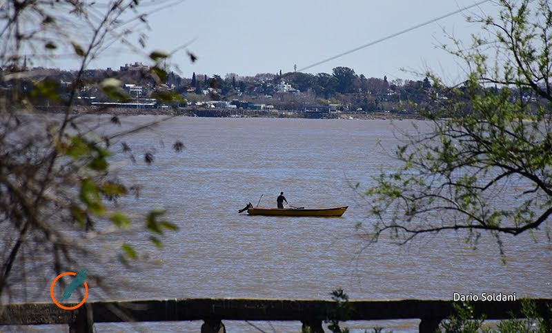 El río Paraná seguirá bajo pese a ligera crecida en los últimos días