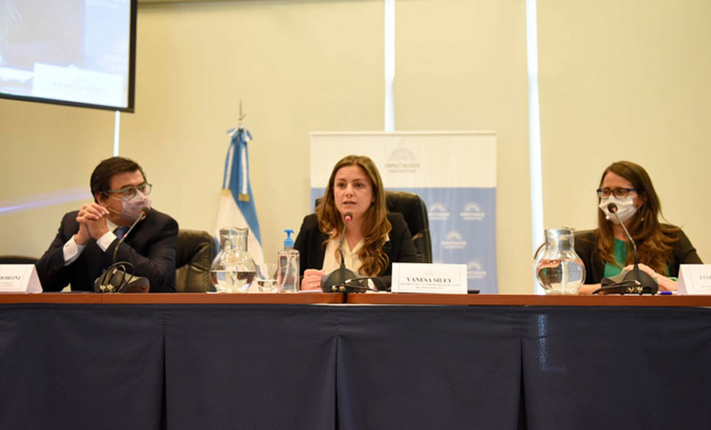 Moroni y Gómez Alcorta defendieron el proyecto sobre seguridad laboral en Diputados