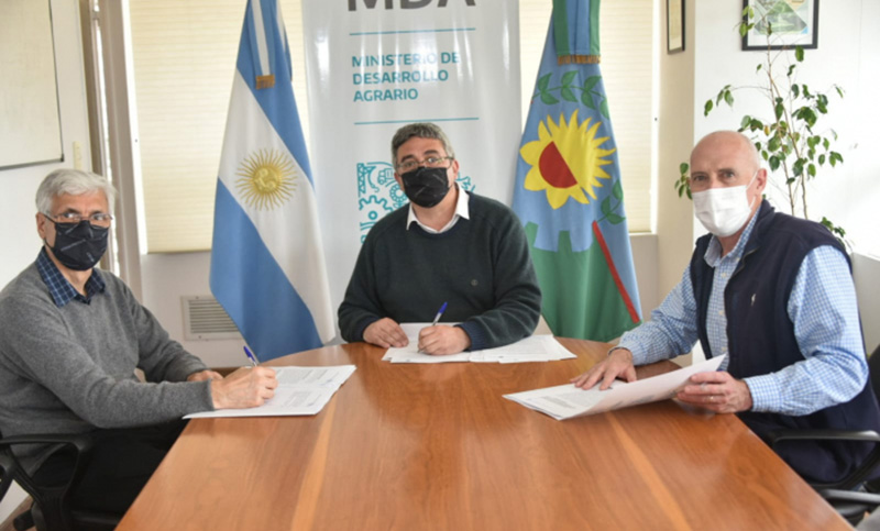 El Gobierno bonaerense utilizará madera de un predio de forestación para construcción de viviendas