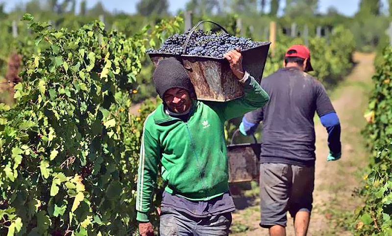 Los trabajadores viñateros ya tienen régimen jubilatorio aprobado por Diputados