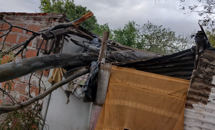 Un árbol cayó sobre una vivienda y sus ocupantes temen nuevos derrumbes