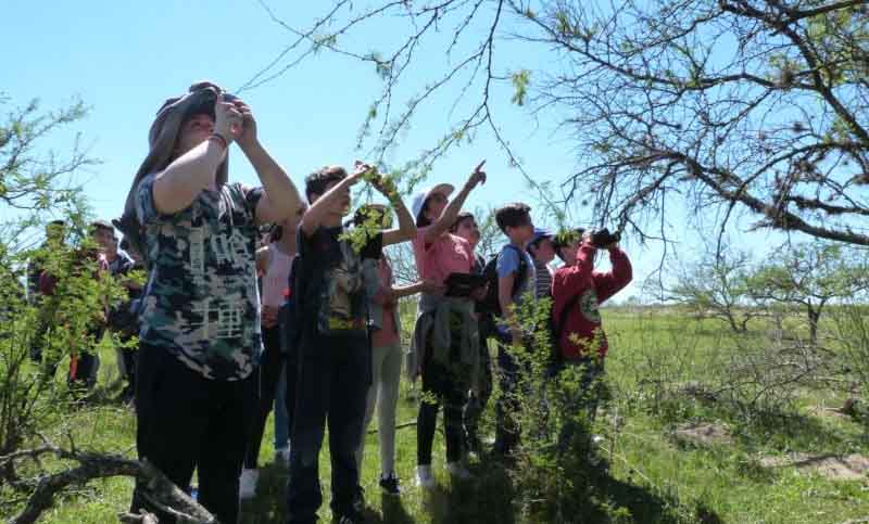 Enseñar a volar: cuando las aves y las infancias comparten un camino emancipatorio