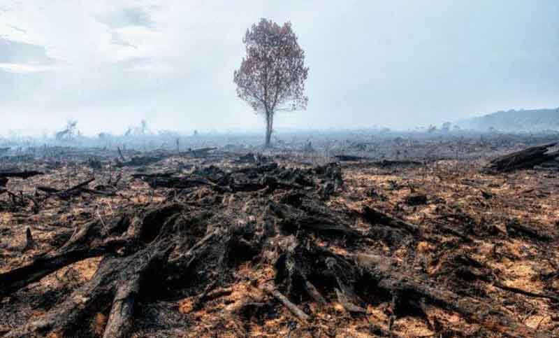Un grupo de Curas en Opción por los Pobres insta a ponerle fin al ecocidio