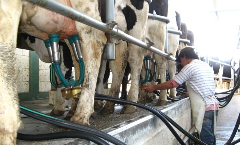 Acuerdo entre Santa Fe y Nación para recuperar producción lechera 