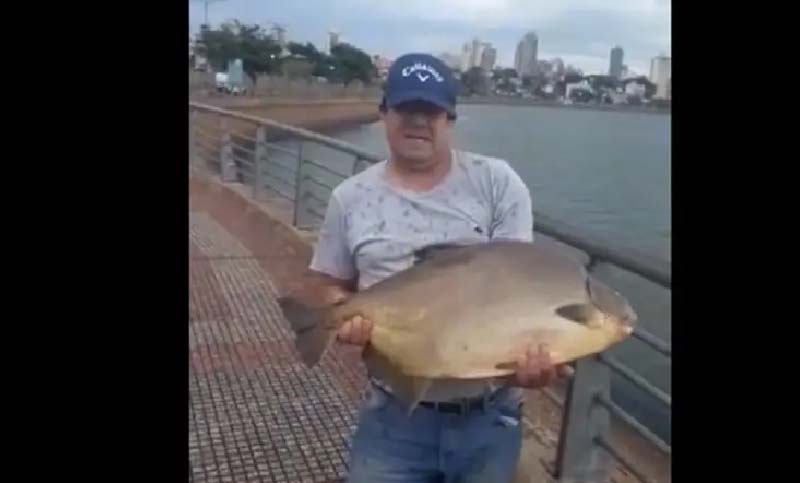 Pescó un Pacú de 18 kg y luego lo devolvió al Paraná