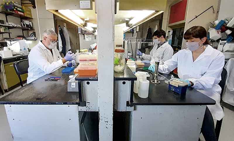 La vacuna argentina contra el coronavirus neutraliza las variantes Delta, Gamma y Alfa