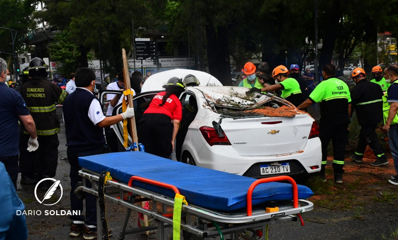 Cayó una rama, aplastó un auto, y una mujer quedó atrapada en el interior del vehículo