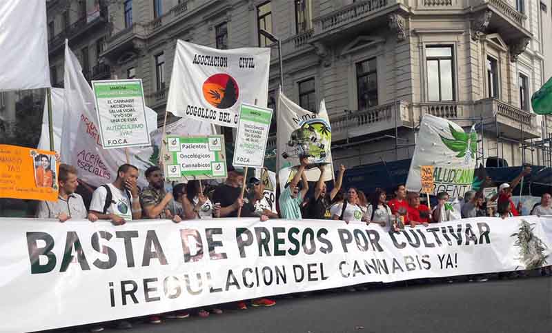Organizaciones cannábicas realizan Marcha Nacional de la Marihuana