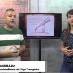 Catalejo TV: el impacto socioambiental del trigo transgénico