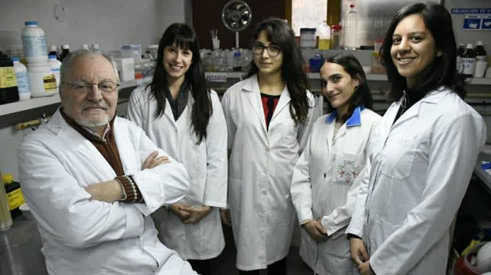 Un desarrollo rosarino que obtiene celulosa desde la soja, premiado en un certamen internacional