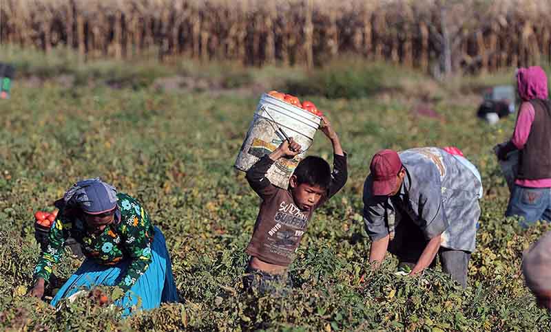 La ONU denunció que 160 millones de niños son sometidos a trabajo infantil
