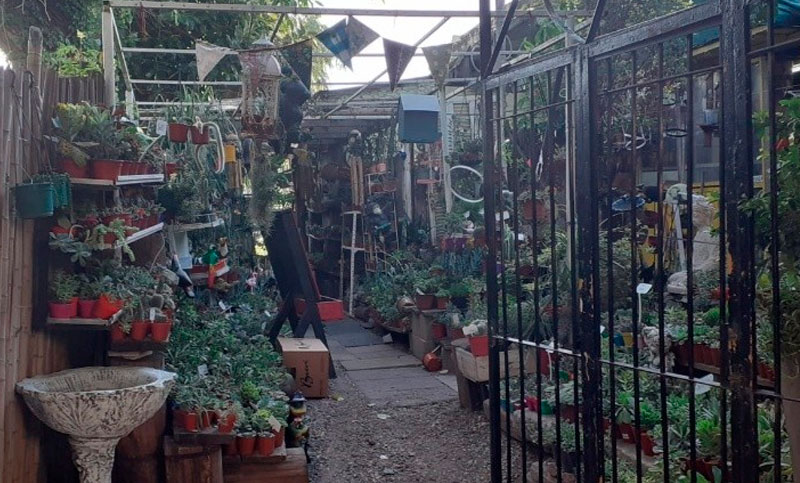 Incendio en Barrio Abasto: se prendió fuego el depósito de un vivero