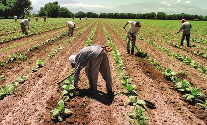 Los peones rurales piden un bono de fin de año que la Mesa de Enlace se niega a pagar