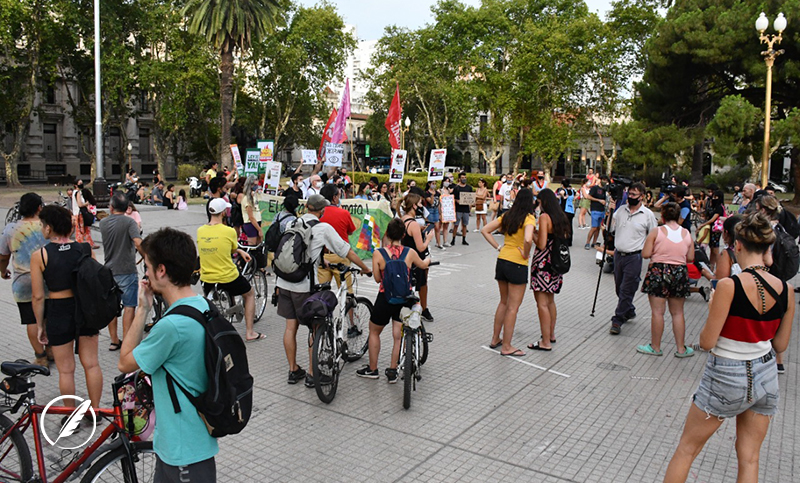 Ambientalistas pidieron acciones políticas para ponerle fin a los incendios