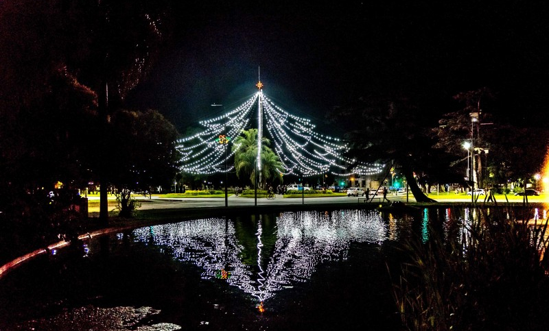 Hoy se enciende el árbol de Navidad y habrá desvíos en el transporte urbano
