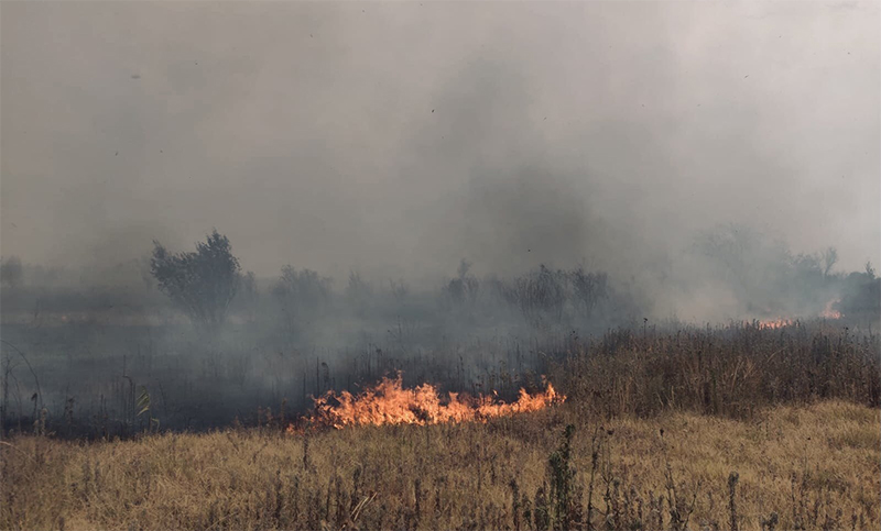 Desde Protección Civil aseguran que el incendio en El Banquito de San Andrés fue controlado