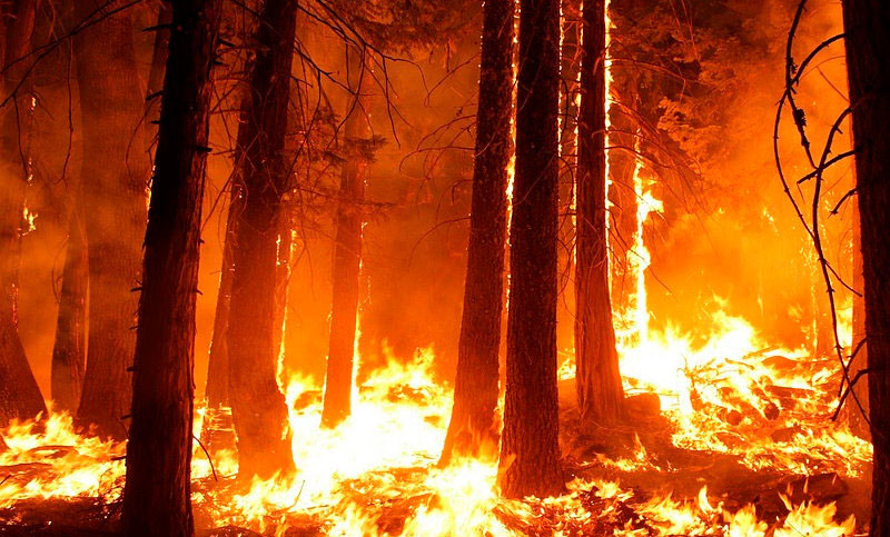 Focos de incendios forestales se registran en el sur de Argentina