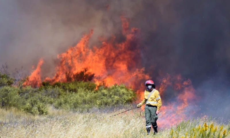 Incendios forestales: cuatro provincias continúan complicadas