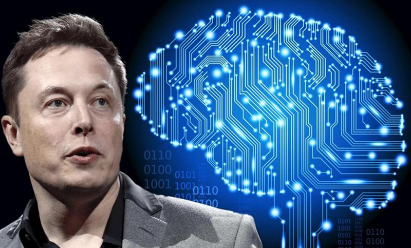 Elon Musk avanza con el estudio de chip cerebrales y necesita «trabajadores»