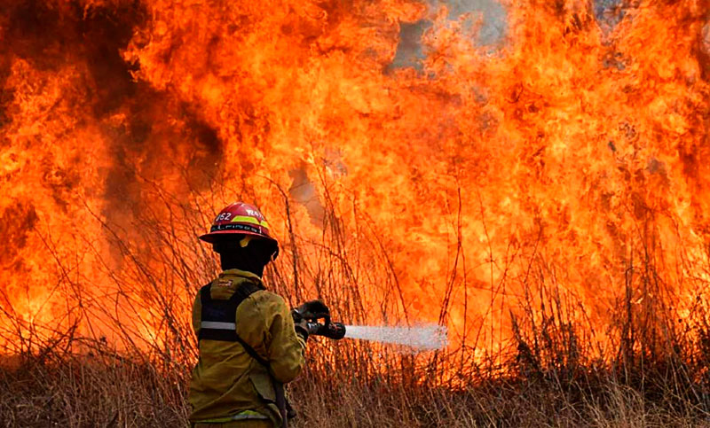 Las pérdidas estimadas por incendios forestales ascienden a $ 3,850 billones