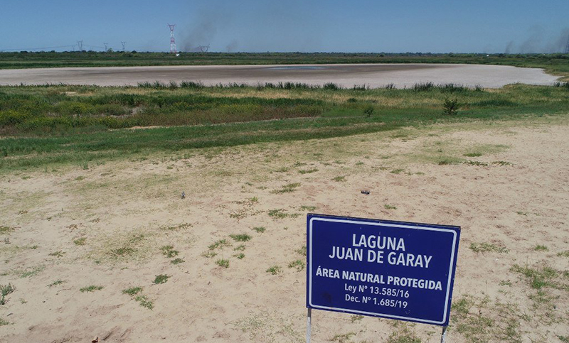 Alerta por presencia de algas tóxicas en lagunas de Santa Fe y otras tres provincias